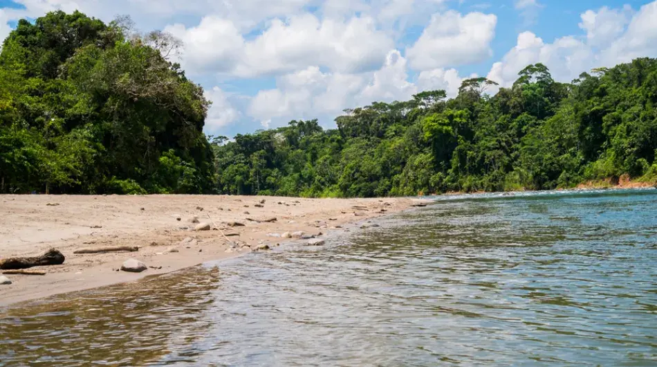 Napo river beach, Ecuador