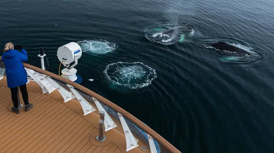 FournierBay_Antarctica_YuriChoufour-75733