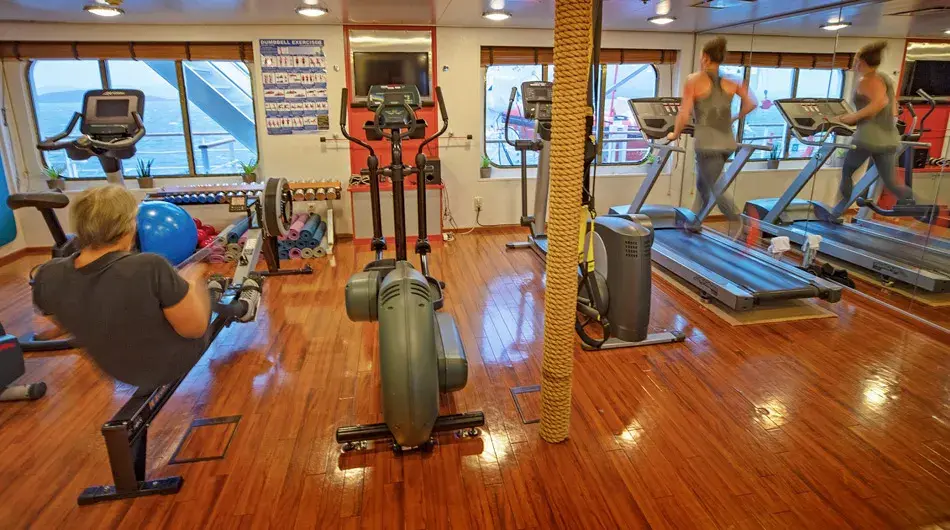 Interior of the Gym on the Heritage Adventurer