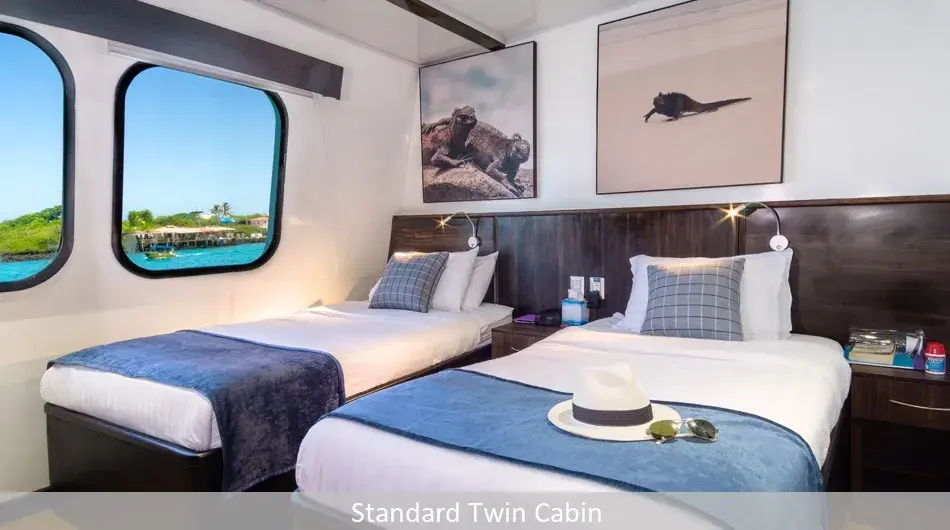 Natural Paradise Galapagos Cruise - Twin Stateroom Cabin 
