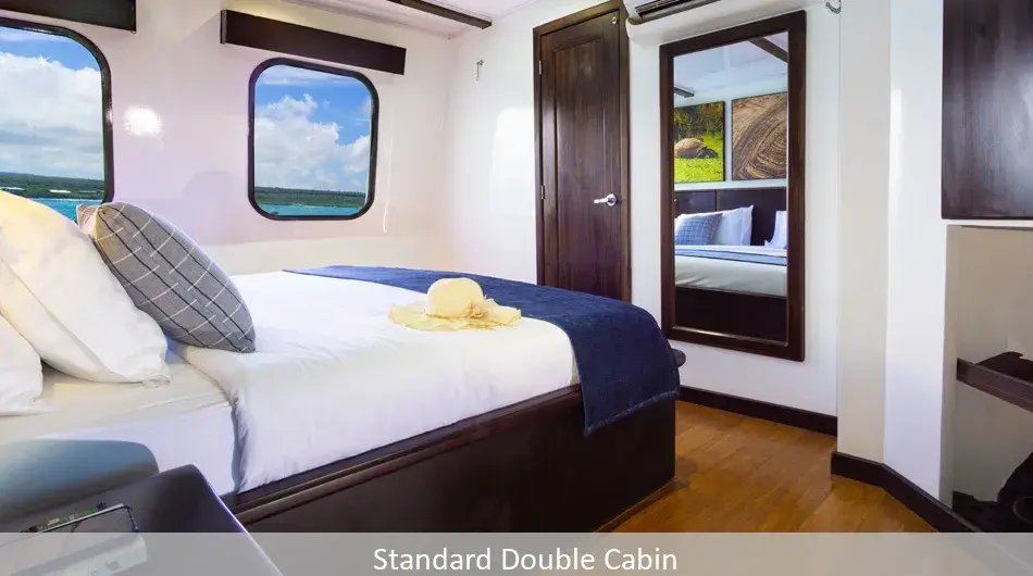 Natural Paradise Galapagos Cruise - Suite Cabin 