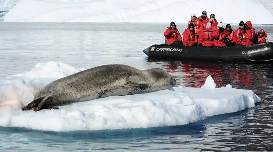Leopard Seal on an iceberg