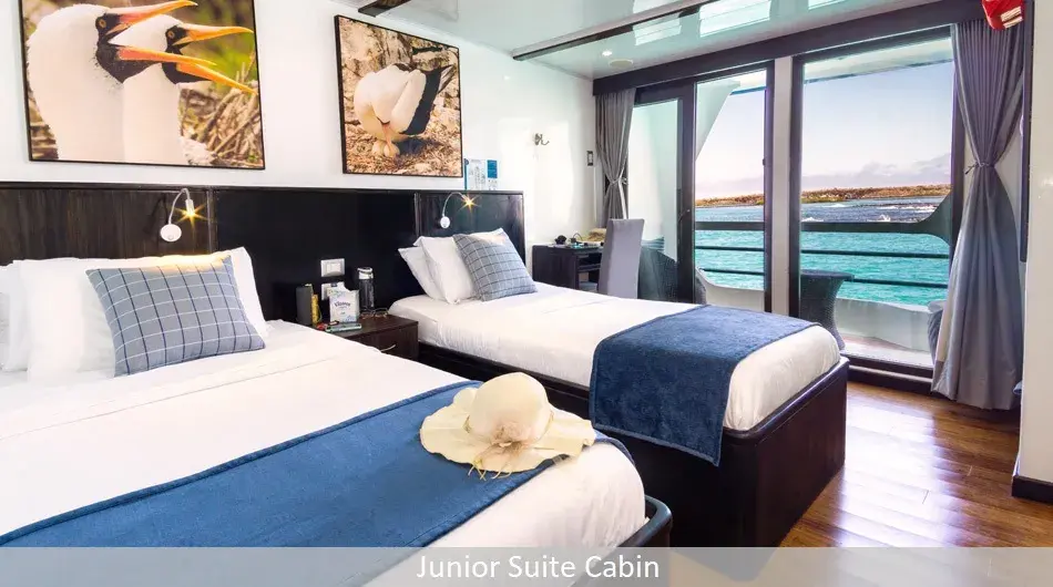 Natural Paradise Galapagos Cruise - Junior Suite 