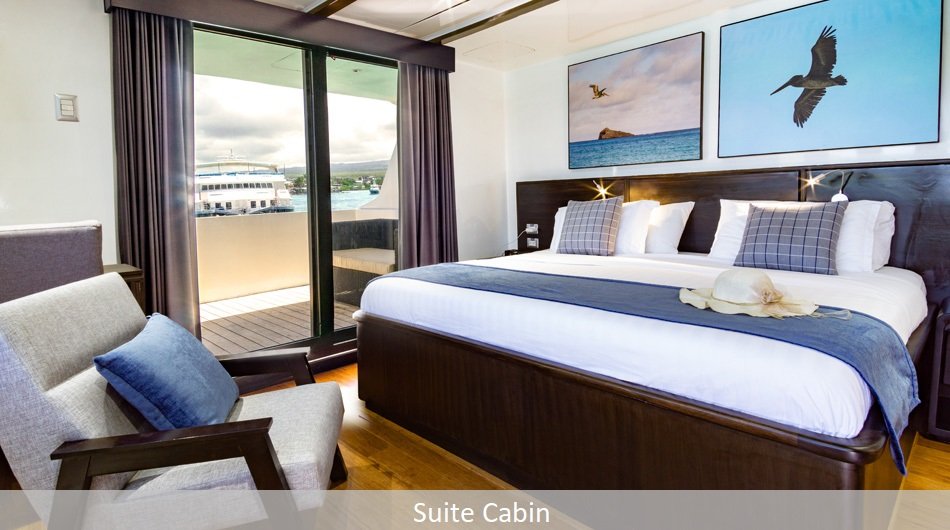 Natural Paradise Galapagos Cruise - Suite Cabin