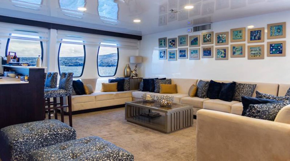 alya-lounge-experience