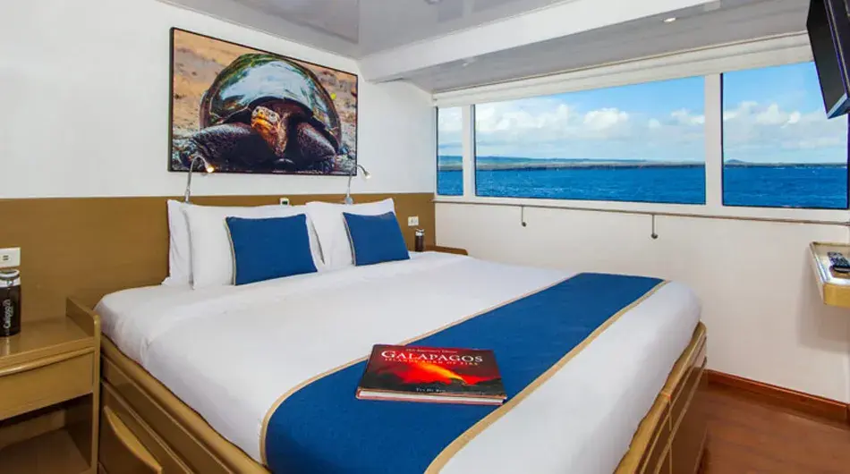 Double Cabin - Calipso Cruise 