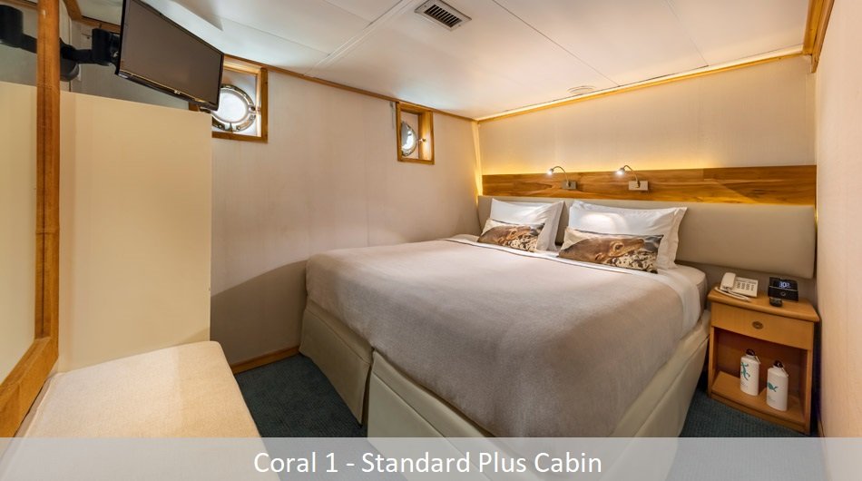 Coral1Standardplus_0