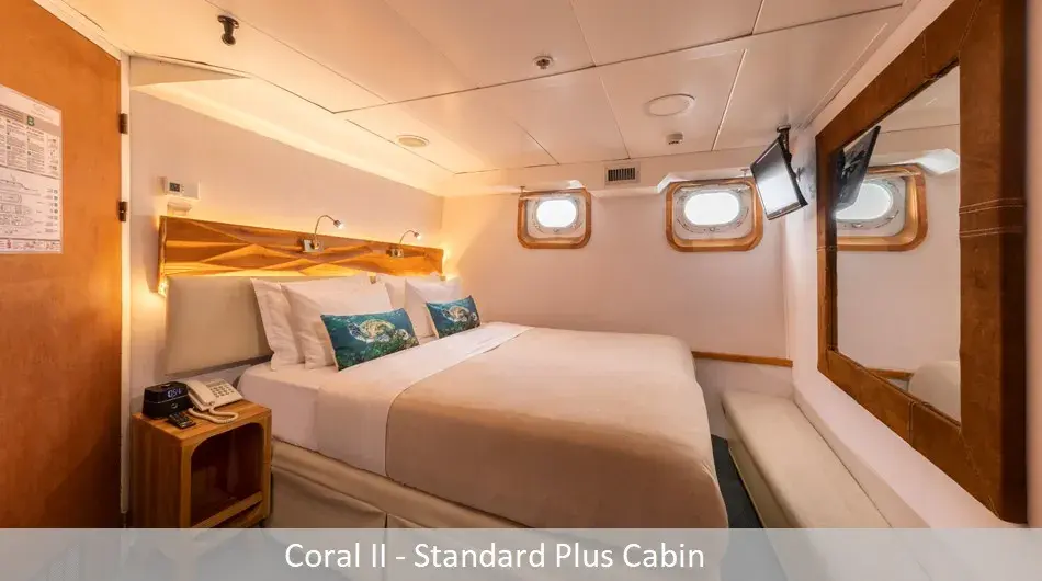 Coral2Standardplus_0