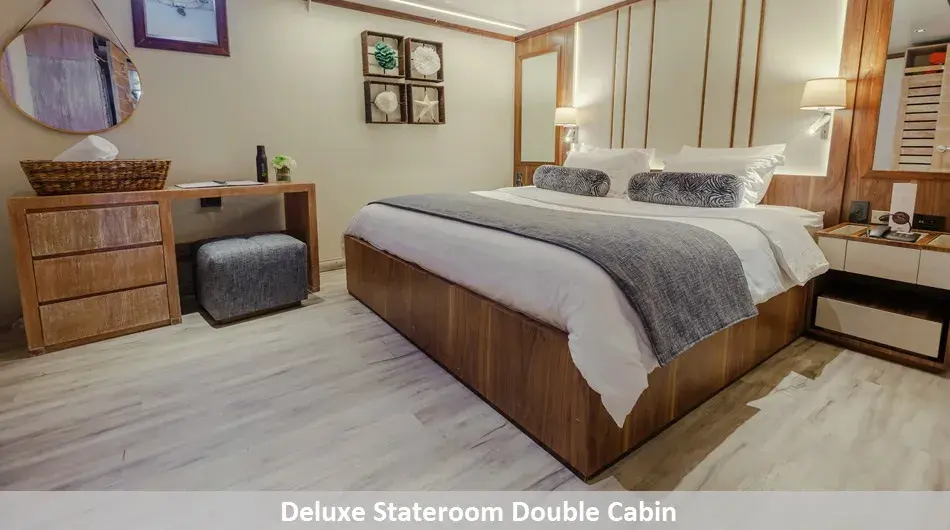 Evolution Galapagos Cruise Ship - Double Deluxe Stateroom