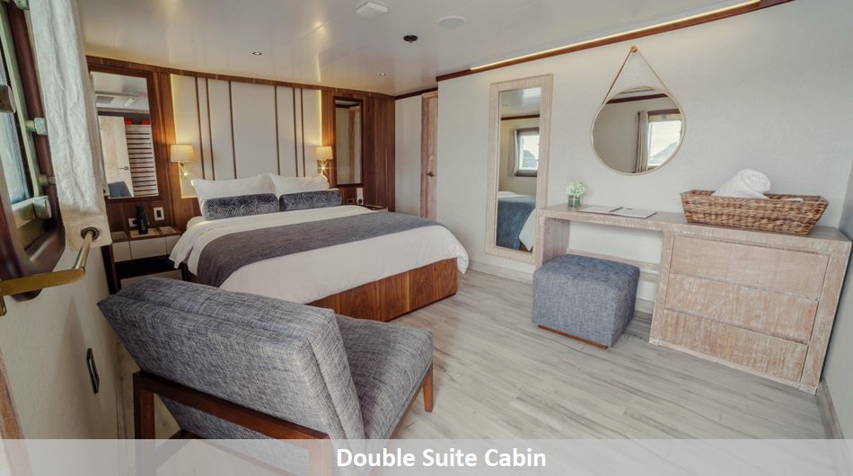 Evolution Galapagos Cruise Ship - Double Suite
