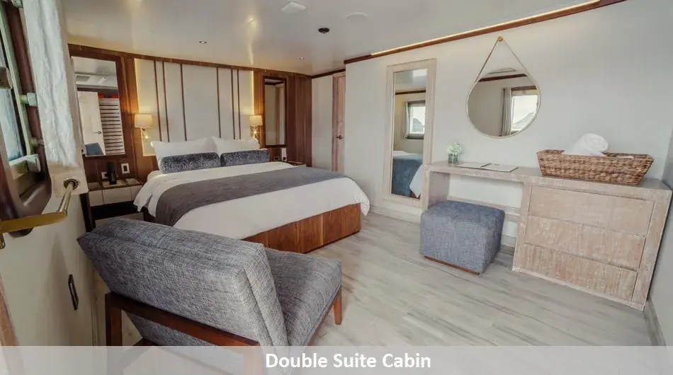 Evolution Galapagos Cruise Ship - Double Suite