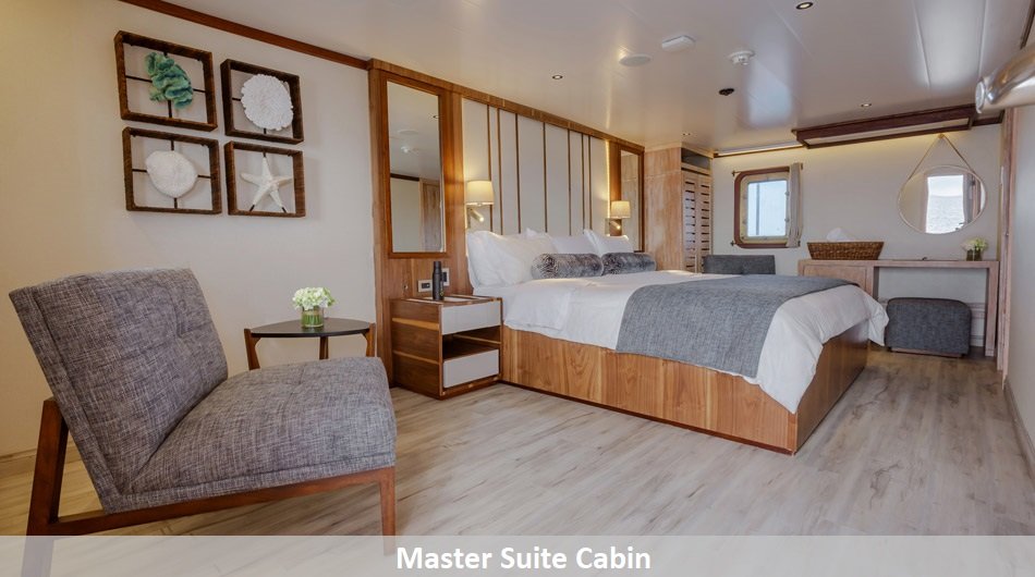 Evolution Galapagos Cruise Ship - Master Suite
