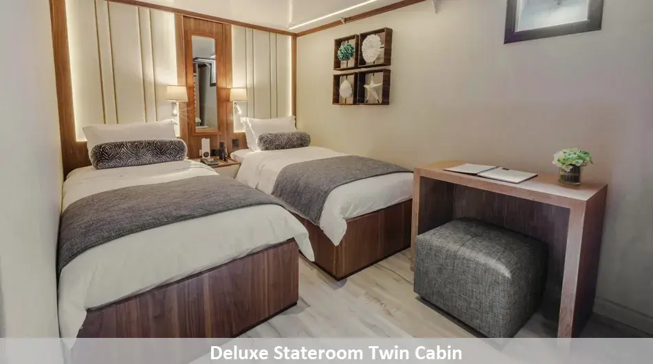 Evolution Galapagos Cruise Ship - Twin Deluxe Stateroom
