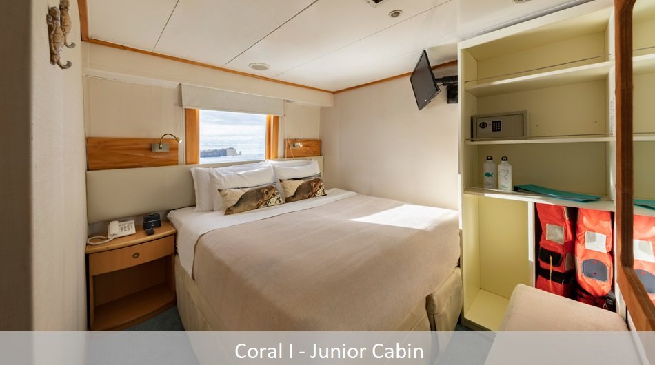 coral1Junior_0