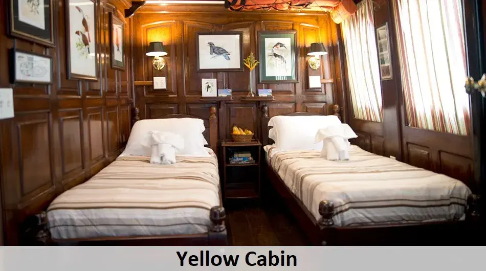 Tucano-Twin-cabin-yellow