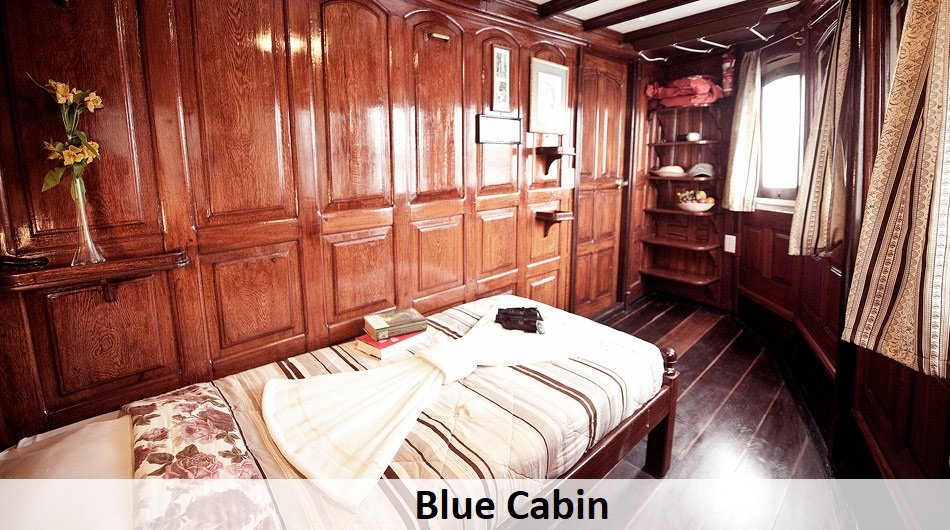 Tucano-single-cabin-Blue_0