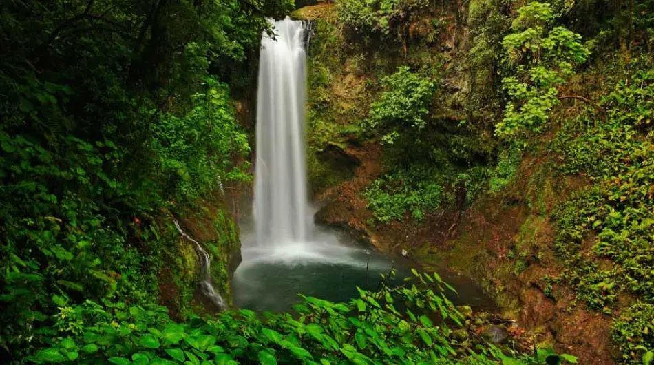 La Paz waterfall gardens, Costa Rica