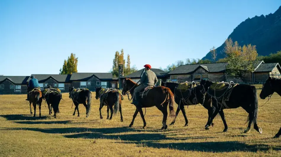 Horses with blue sky