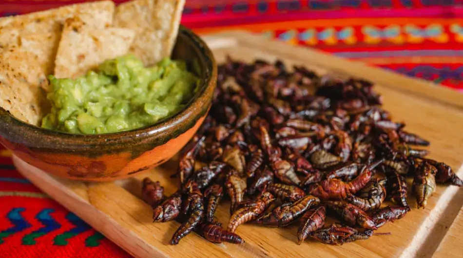 Chapulines, steet food, Mexico
