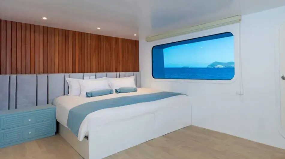 Ocean Spray Galapagos Cruise Ship - Cabin