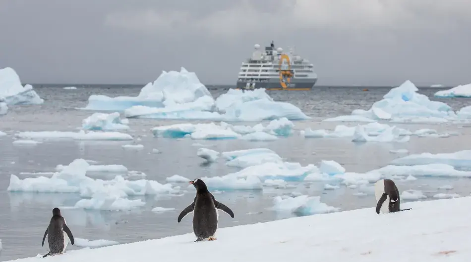 Ultramarine_4M9A5079_michellesole_Web