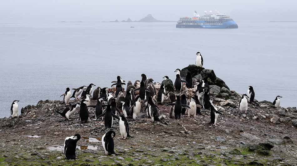 albatros-ov-ext-peng