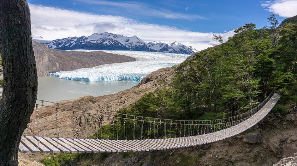 Suspension Bridge Gray Glacier