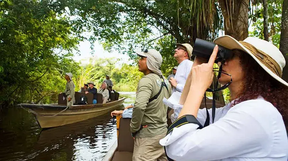 Amazon-Birdwatching---01