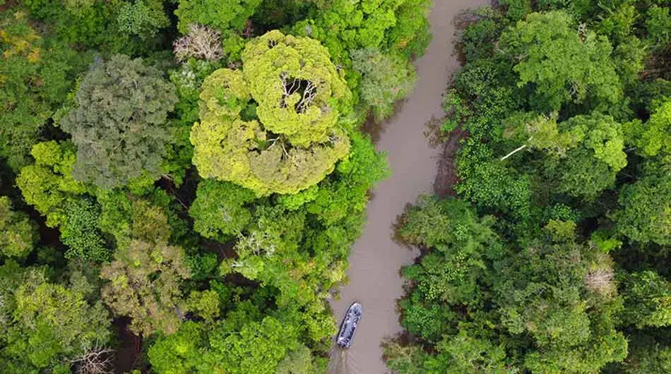 Amazon_Skiff-Excursion_11