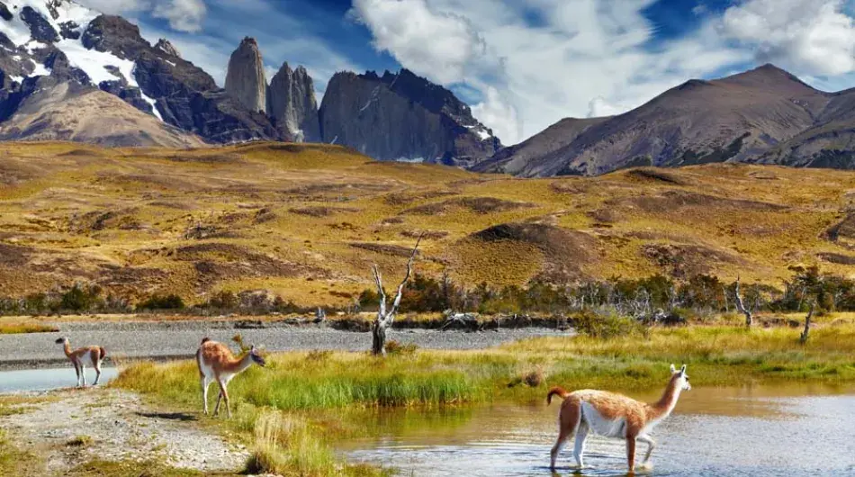 Torres de Paine National Park