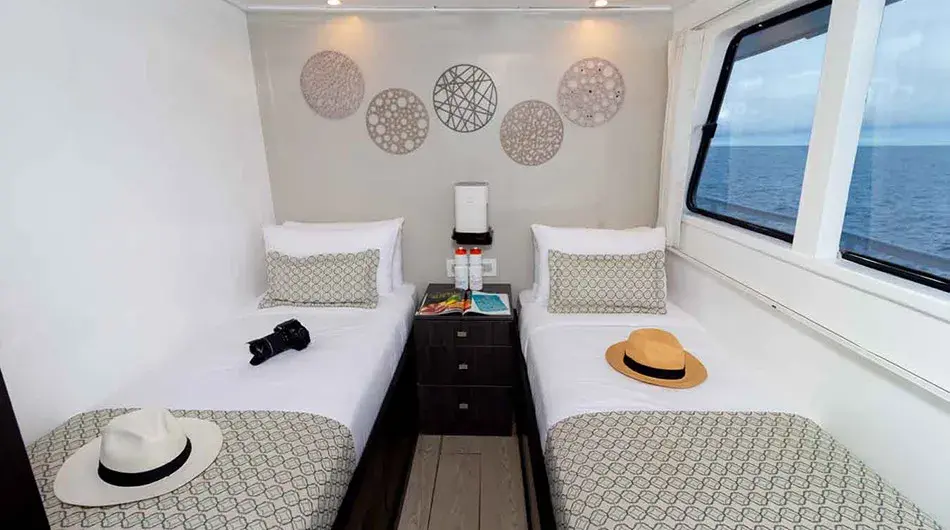 Monserrat Galapagos Cruise Ship - Upper Deck Twin Cabin