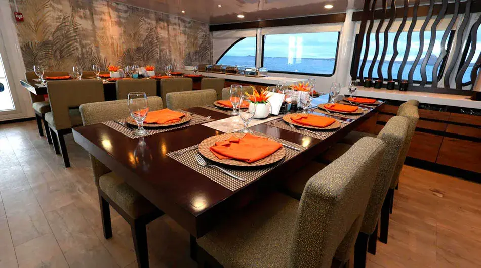 Ecogalaxy Dinning-room