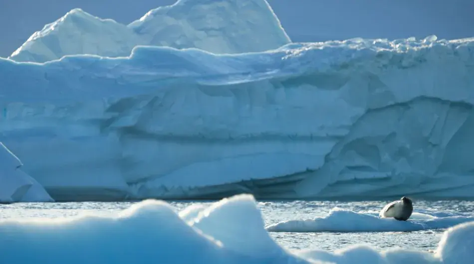 Icy landscape Antarctica