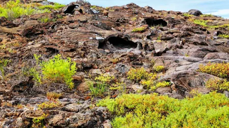 Chinese Hat, Lava Tubes