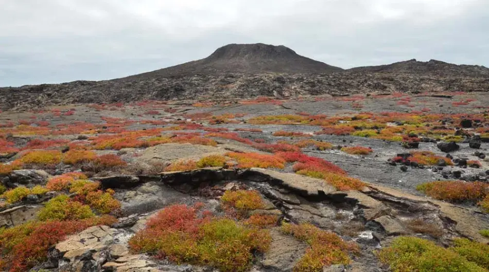 Chinese Hat, Galapagos Islands 