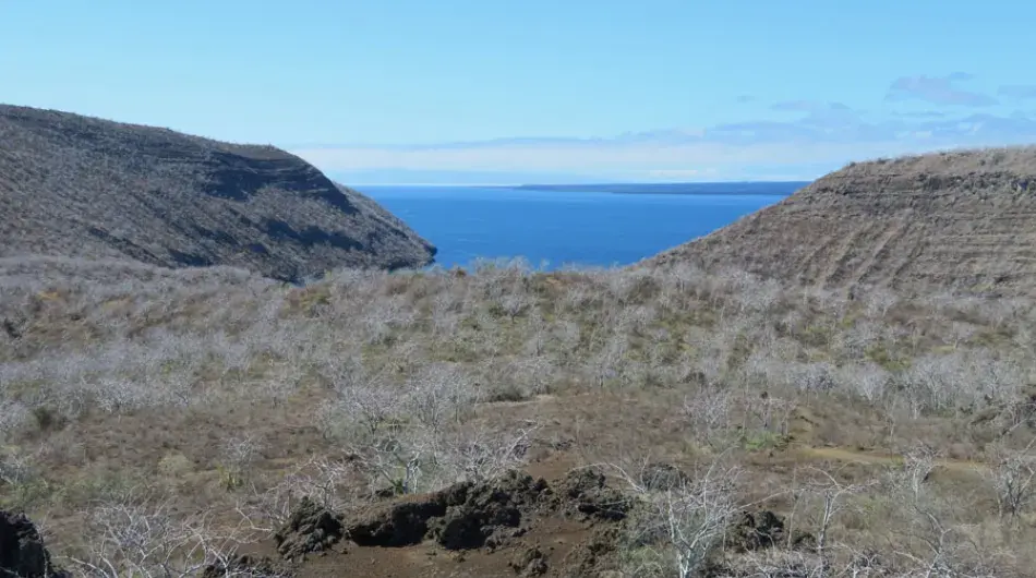 Darwin Volcano, Galapagos Islands 