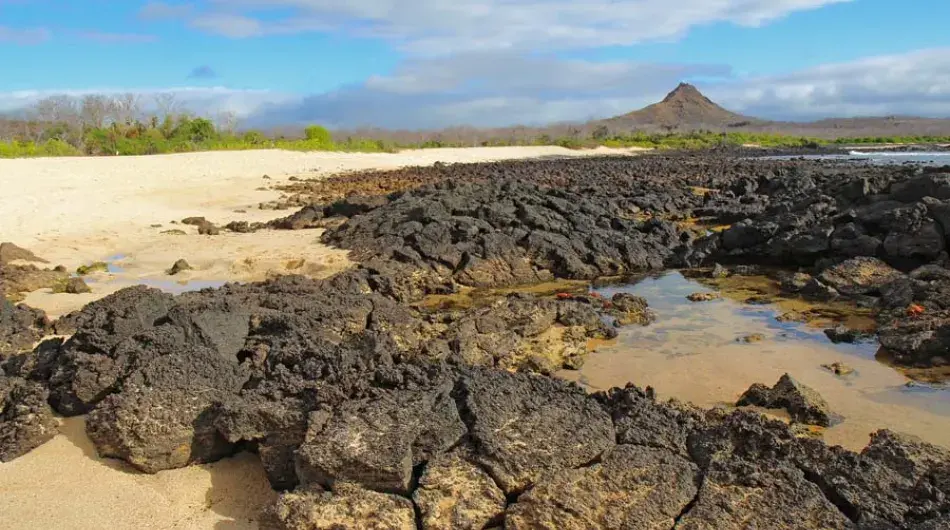 Dragon Hill, Galapagos Islands 