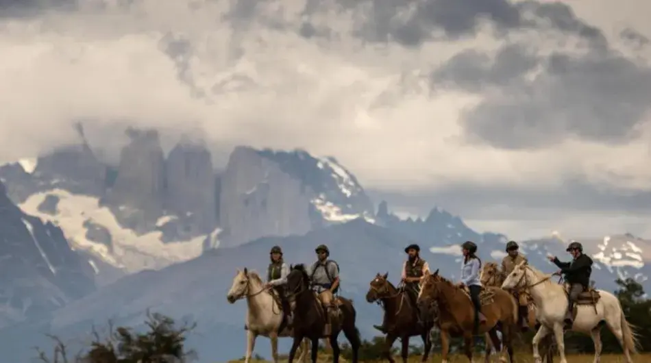 Estancia Cerro Guido Horses