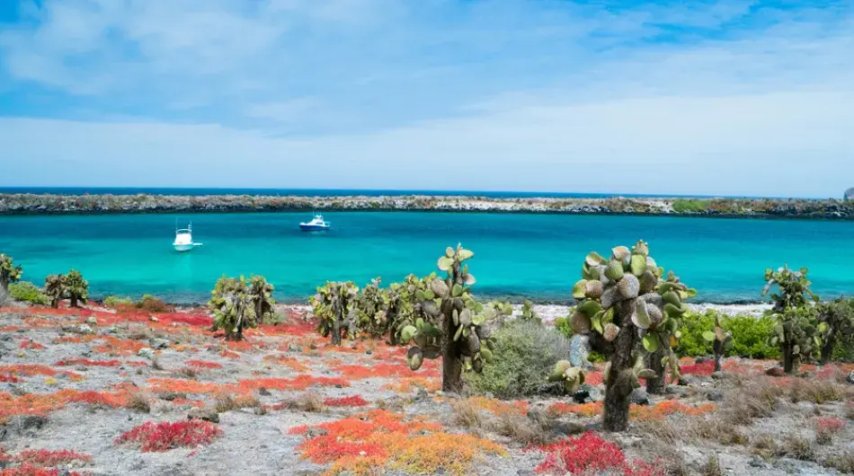 South Plaza landscapes in the Galapagos Islands