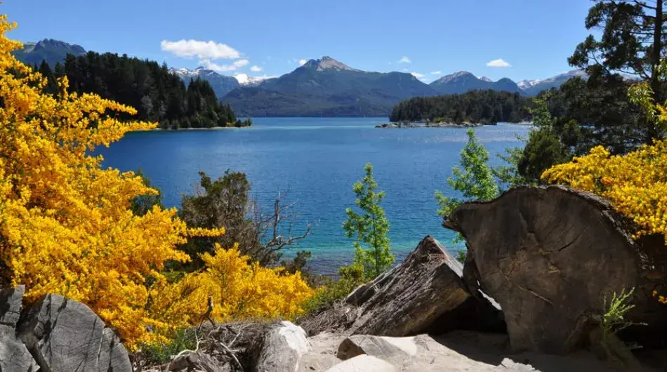 Landscape of Nahuel Huapi lake with yellow folliage