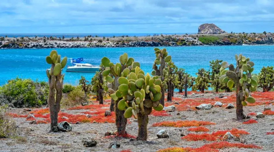 South Plaza Galapagos Island