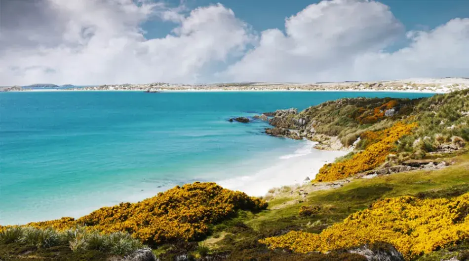 View of the Beach in the Sun, Falklands