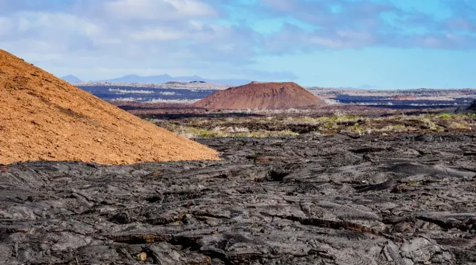 Lava field, Sullivan Bay