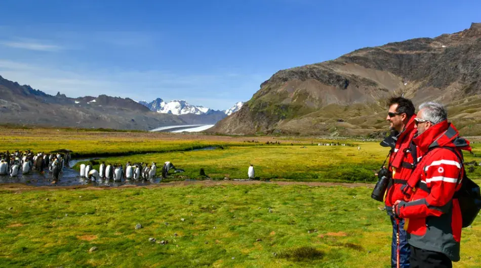Observing penguins in South Georgia on Antarctica expedition