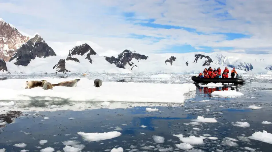 Tourists Spotting Seals on a Zodiac Ride