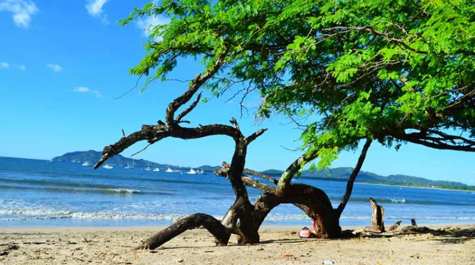 Tamarindo beach, Costa Rica