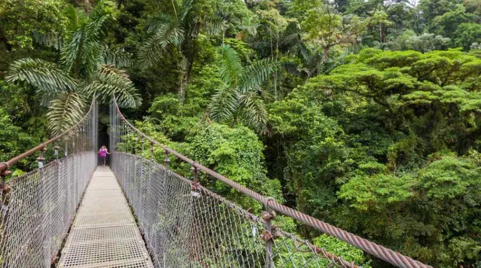 Arenal Hanging Bridges, Costa Rica