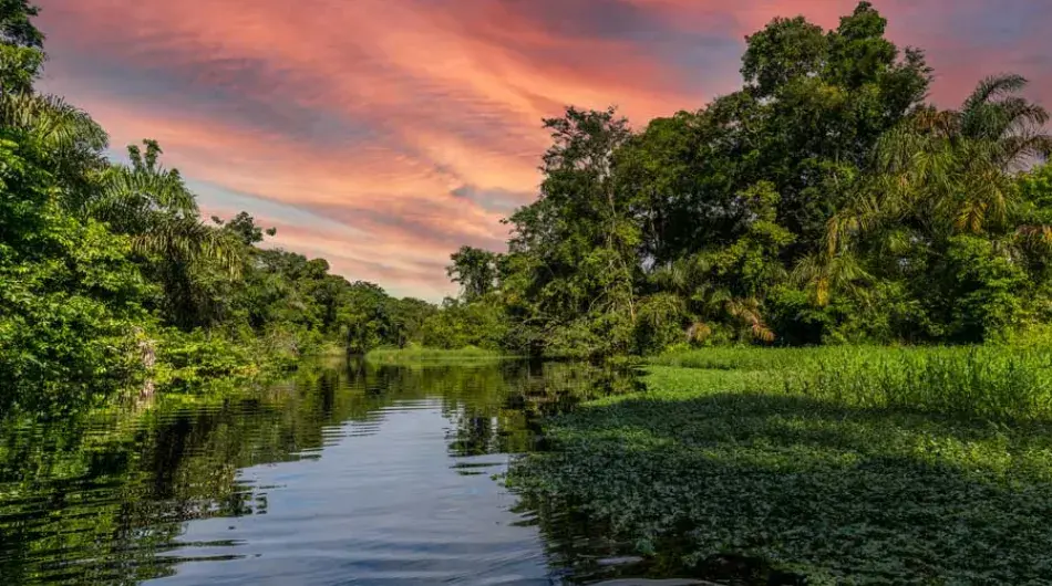Tortuguero canal at sunset Costa Rica