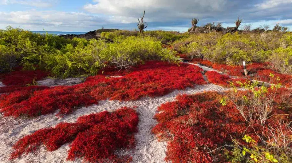 Floreana Island, Galapagos