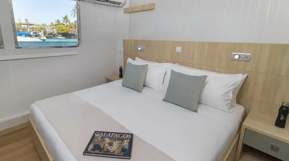Galapagos Angel Galapagos Cruise - Double Cabin